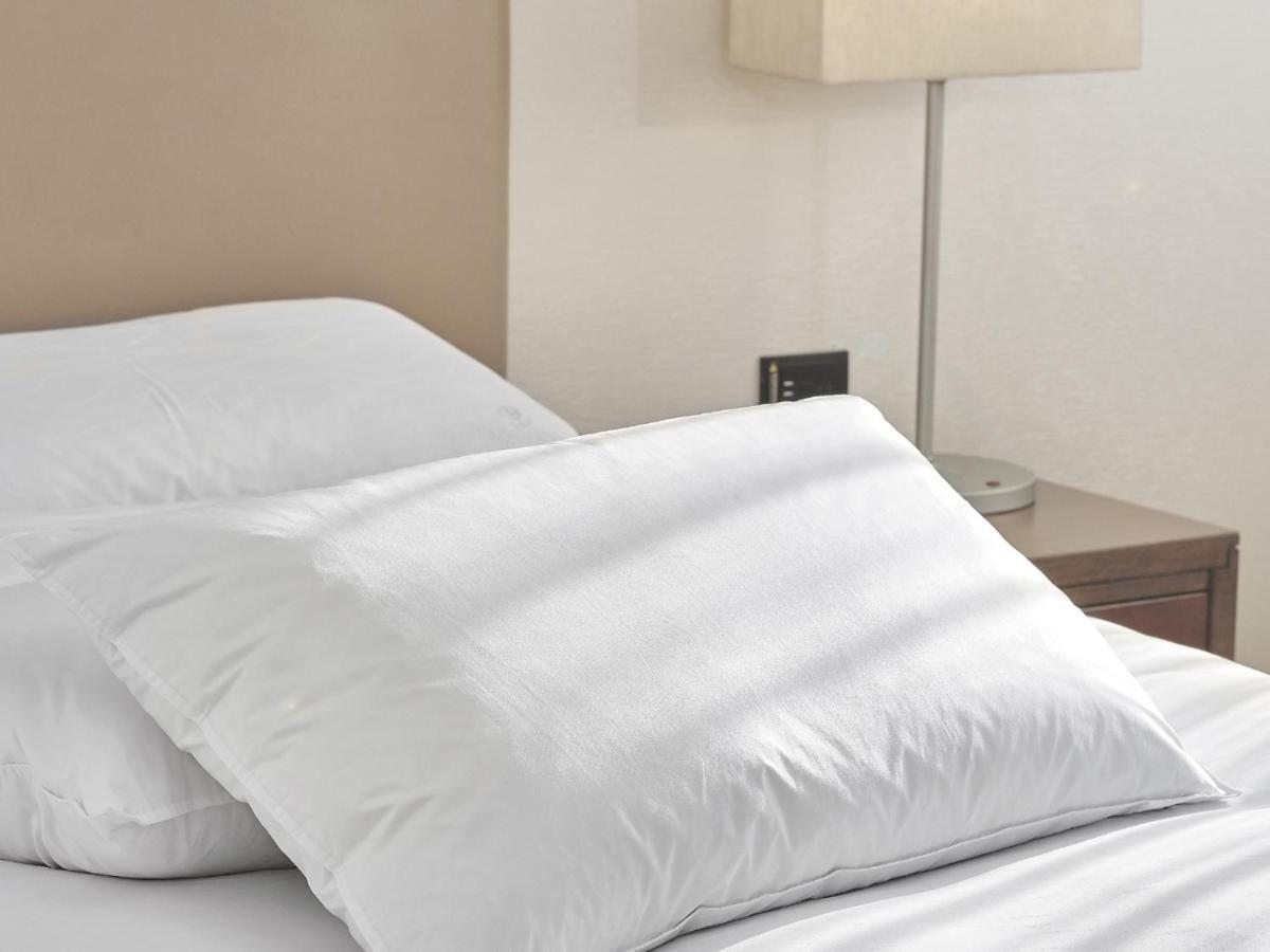Windsor Hotel Taichung Bagian luar foto A pillow